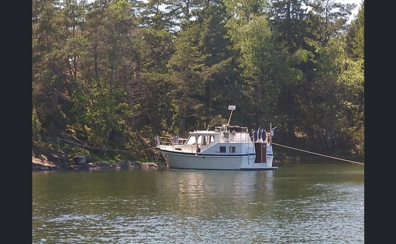 Pinja Muu malli-kuva-1